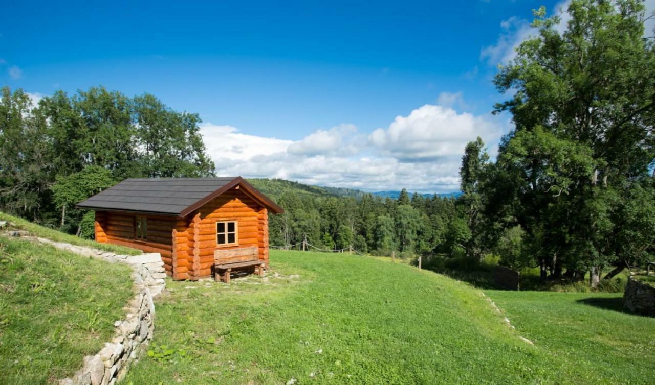 Wellness Florian Ceske Zleby Hotel Stozec